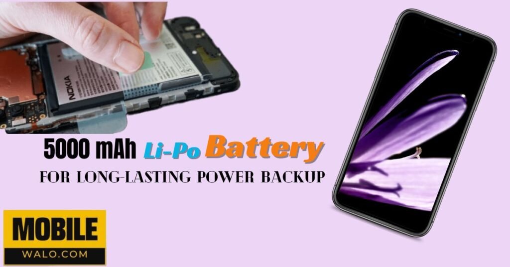 Li-po fixed battery of 5000 mAh